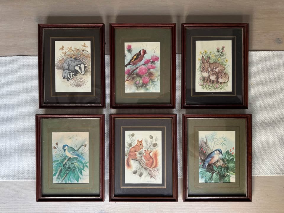 Wild Whimsy – Vintage Animal Gallery Set in Matching Frames