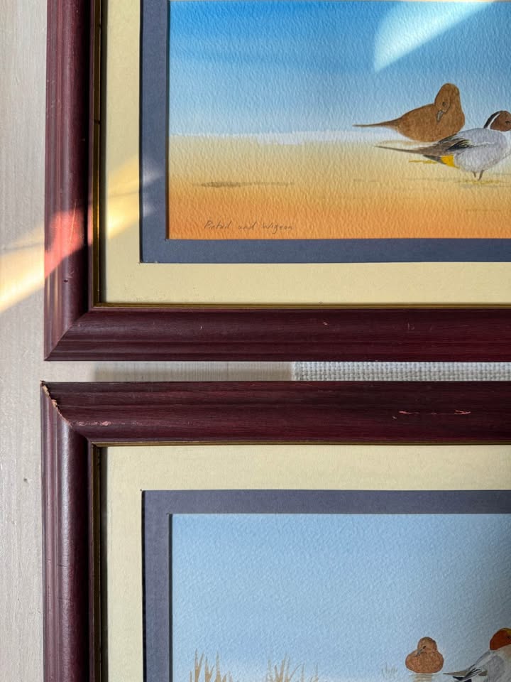 “Pintails in Poise” – Original Watercolour Pair by M.S. Wakefield