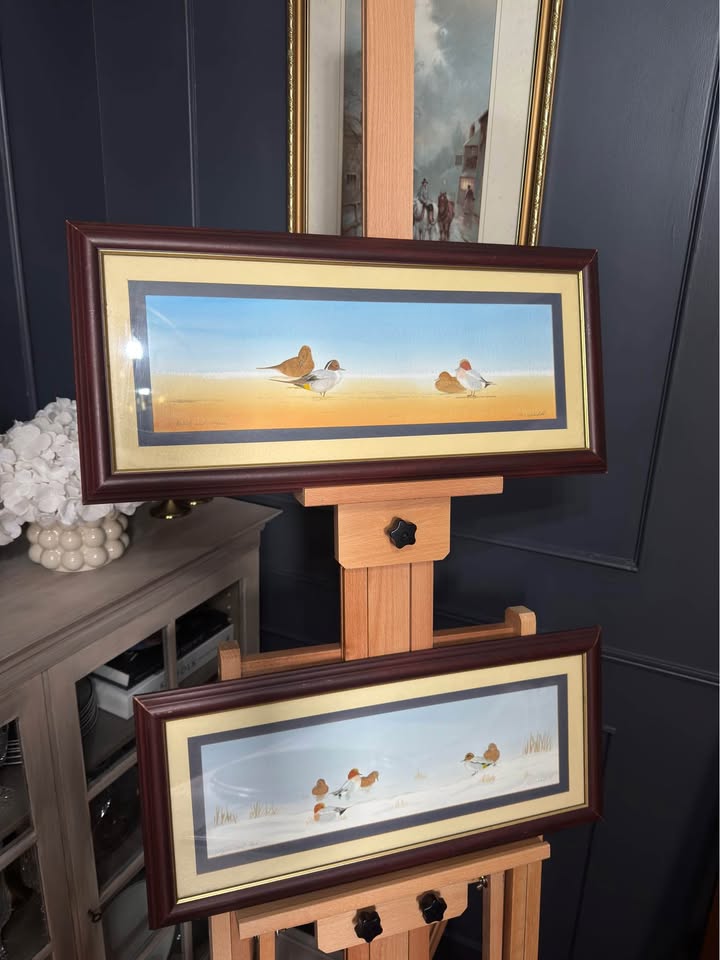 “Pintails in Poise” – Original Watercolour Pair by M.S. Wakefield