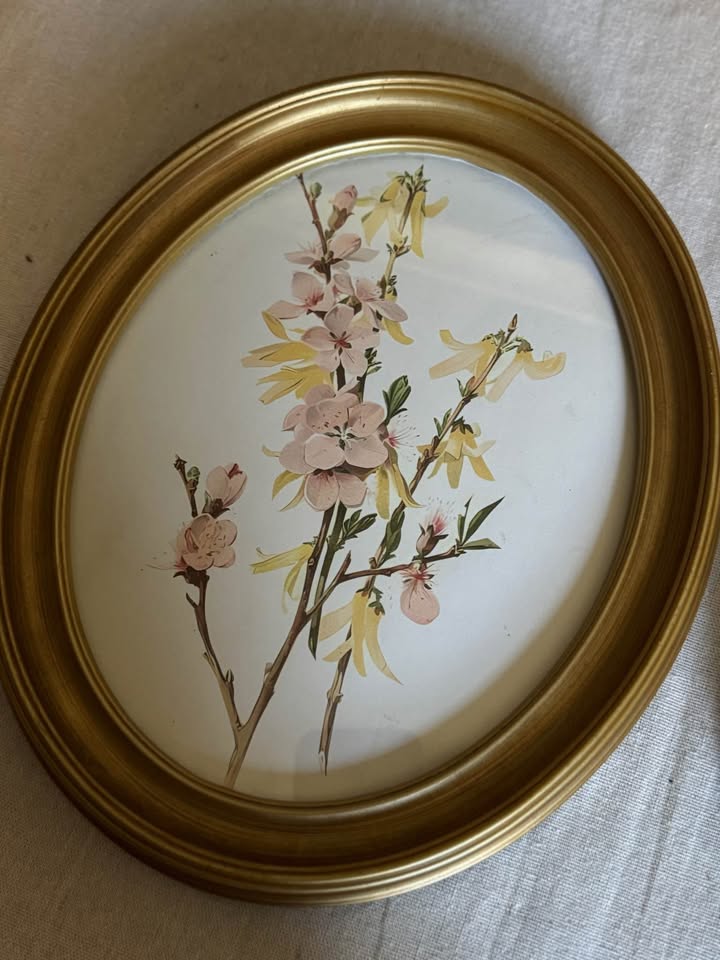 Vintage Inspired Matching Gold Acrylic Oval Frame Set with Prints - Pair
