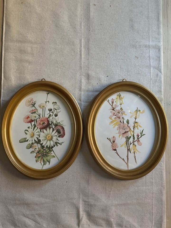 Vintage Inspired Matching Gold Acrylic Oval Frame Set with Prints - Pair
