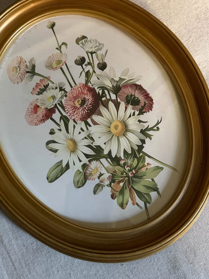 Vintage Inspired Matching Gold Acrylic Oval Frame Set with Prints - Pair