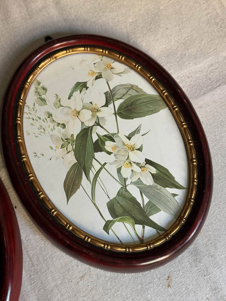 Vintage Flower-Themed Oval Matching Frame Set