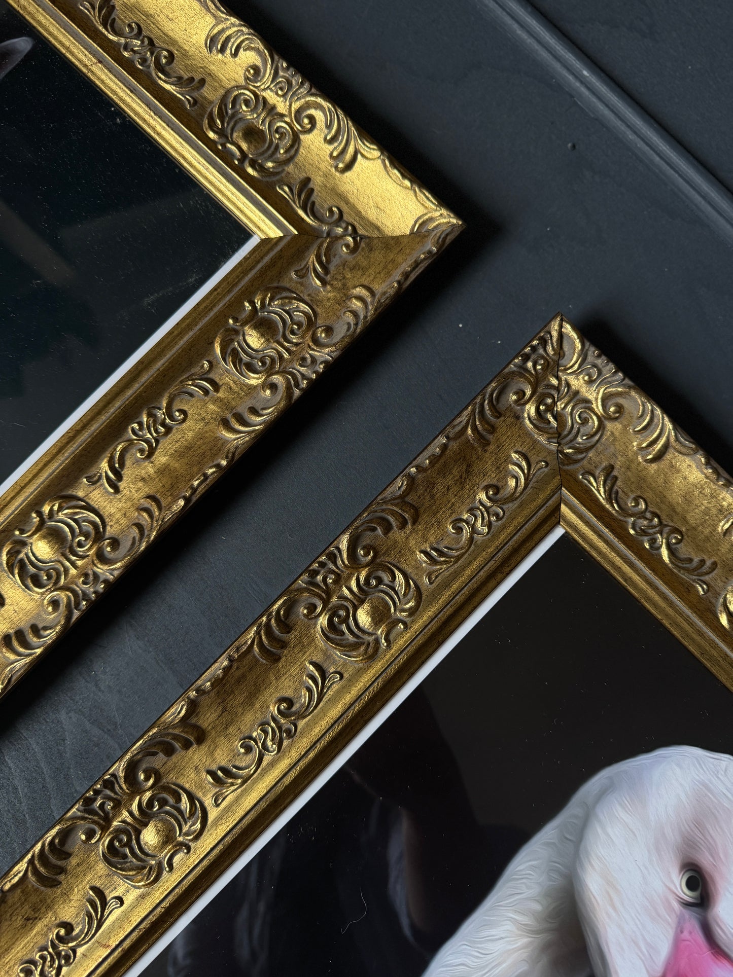 Vintage Inspired Gold Glazed Gilt Frame Set with Quirky Fun Prints