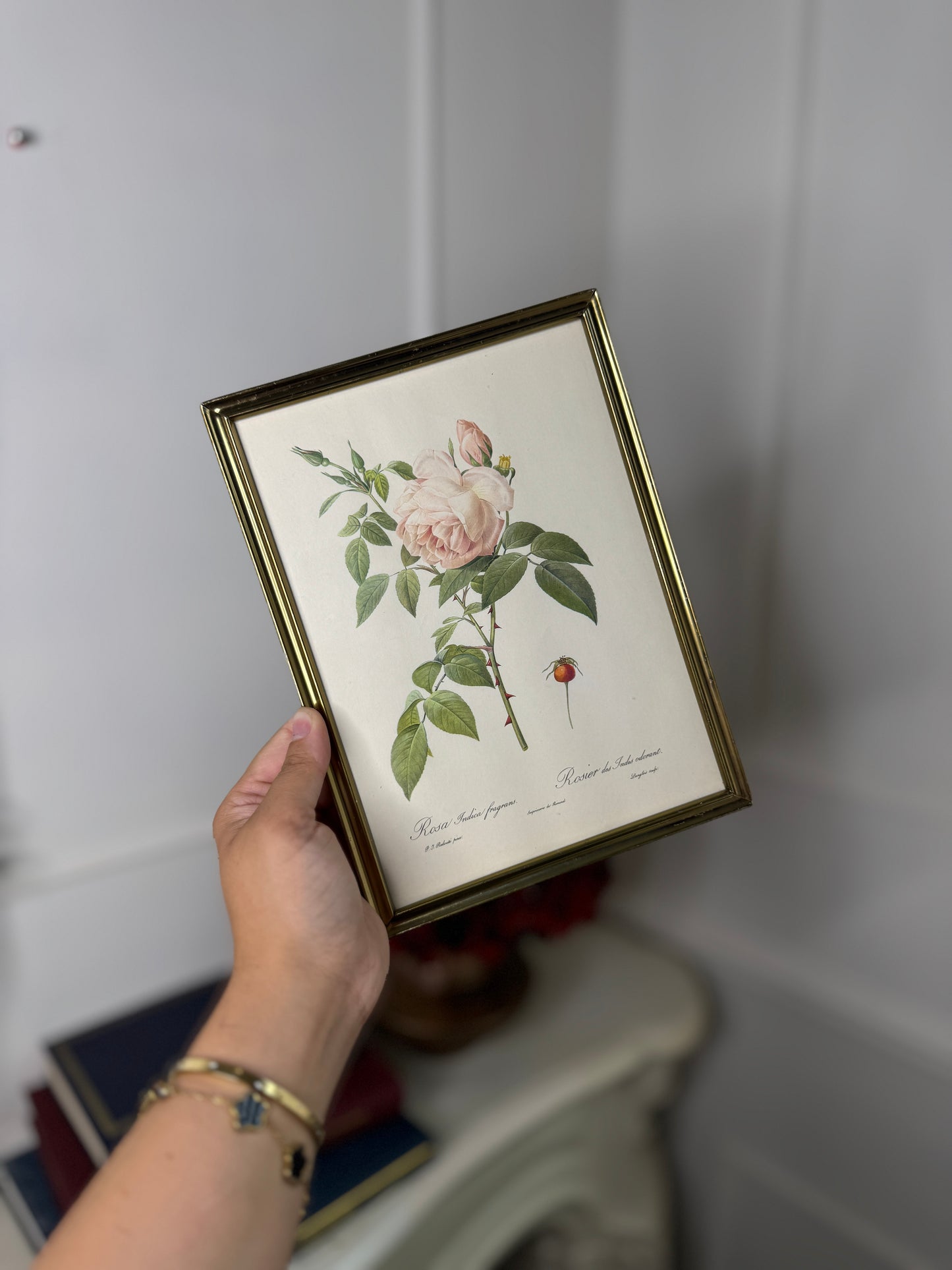 Vintage Flower Print in a Brass Frame - Small