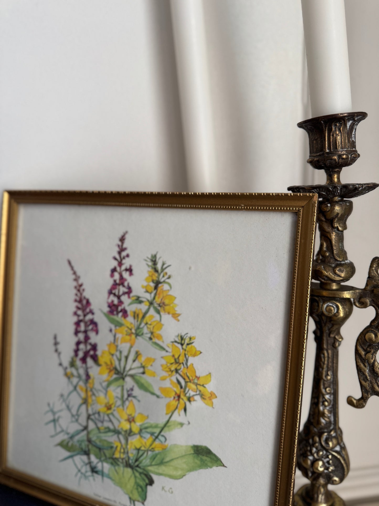 Vintage Flower Print in a Slim Gold Frame