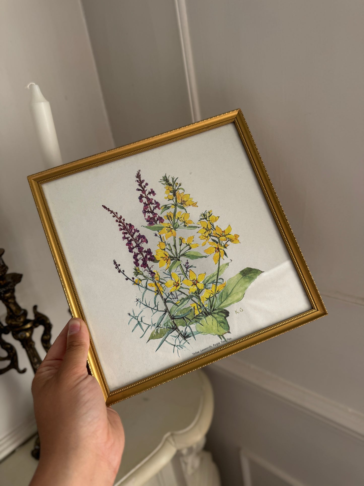 Vintage Flower Print in a Slim Gold Frame