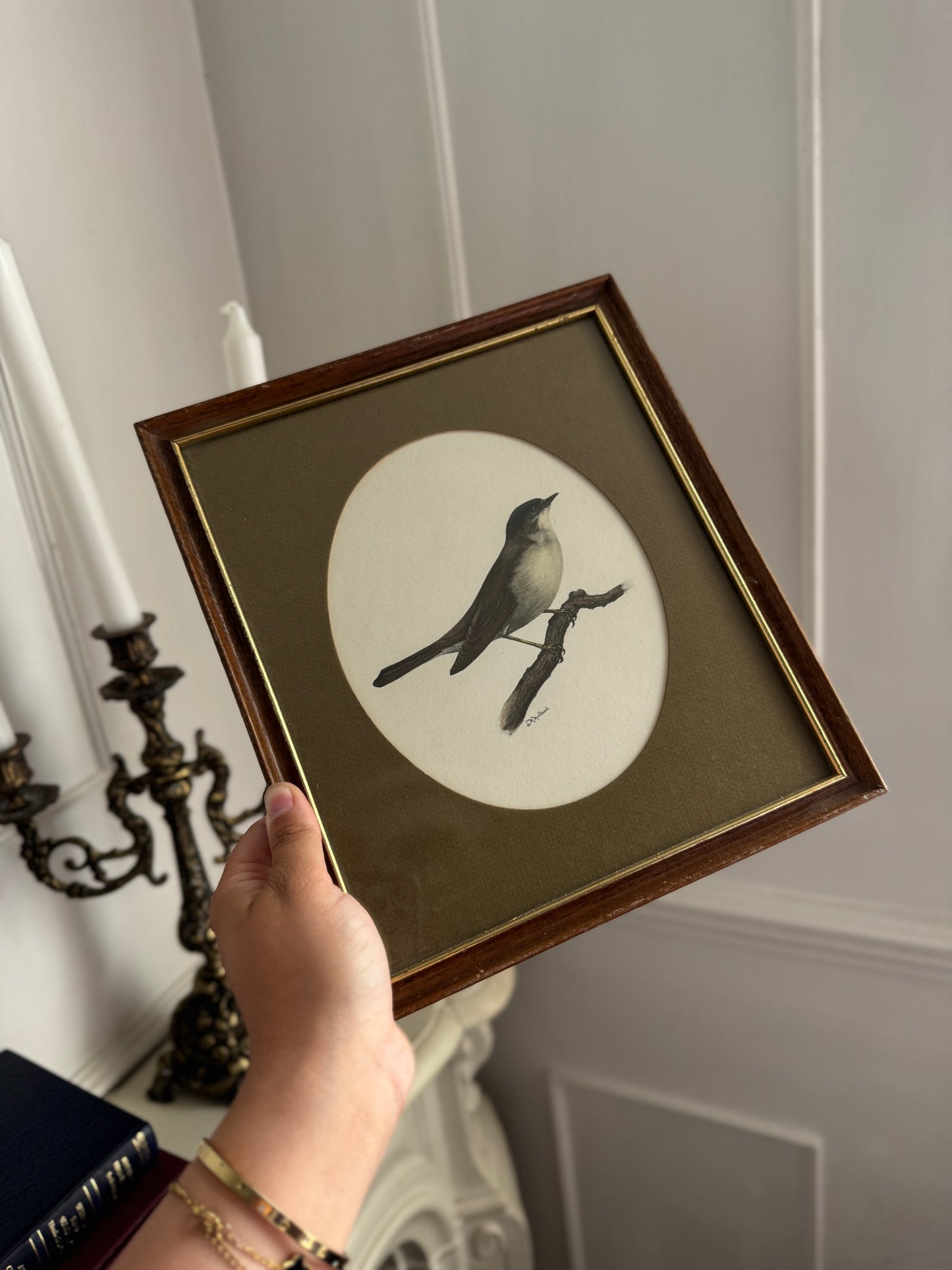 Vintage Bird Illustration in Slim Wooden Frame