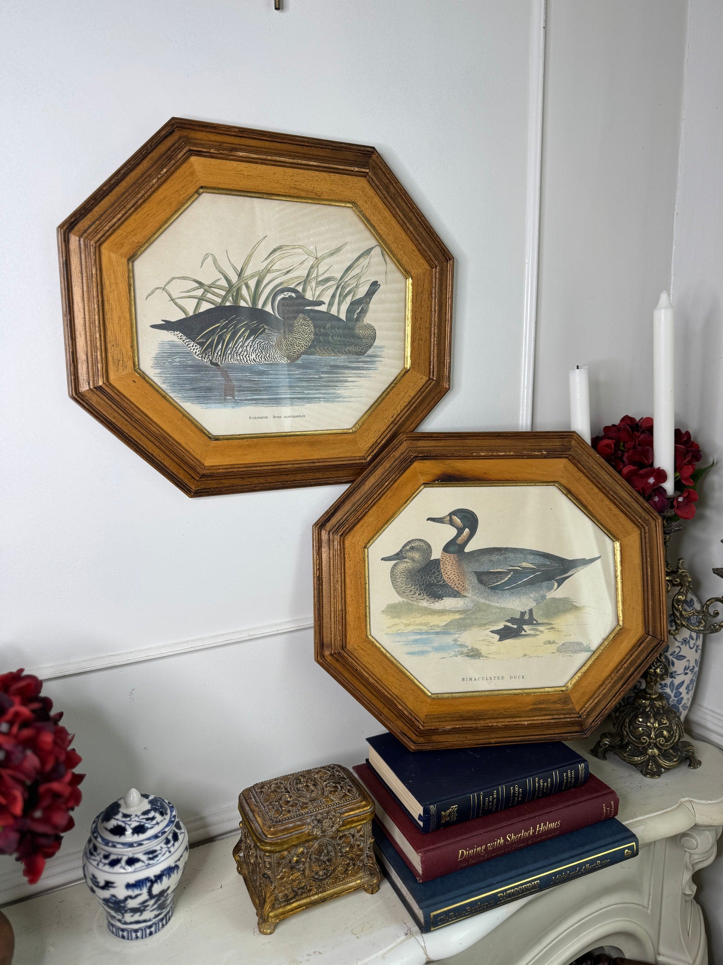 Feathered Pair – Vintage Duck Prints in Matching Wooden Frames