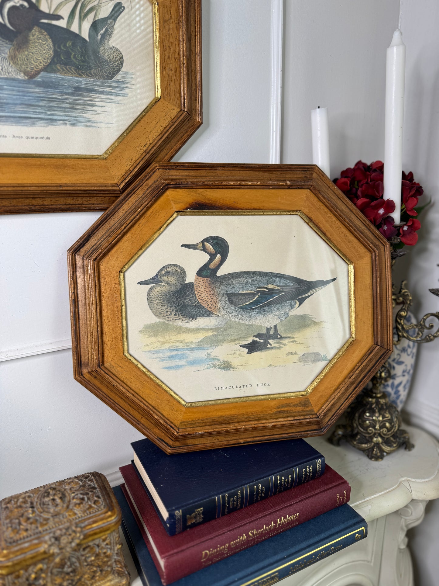 Feathered Pair – Vintage Duck Prints in Matching Wooden Frames