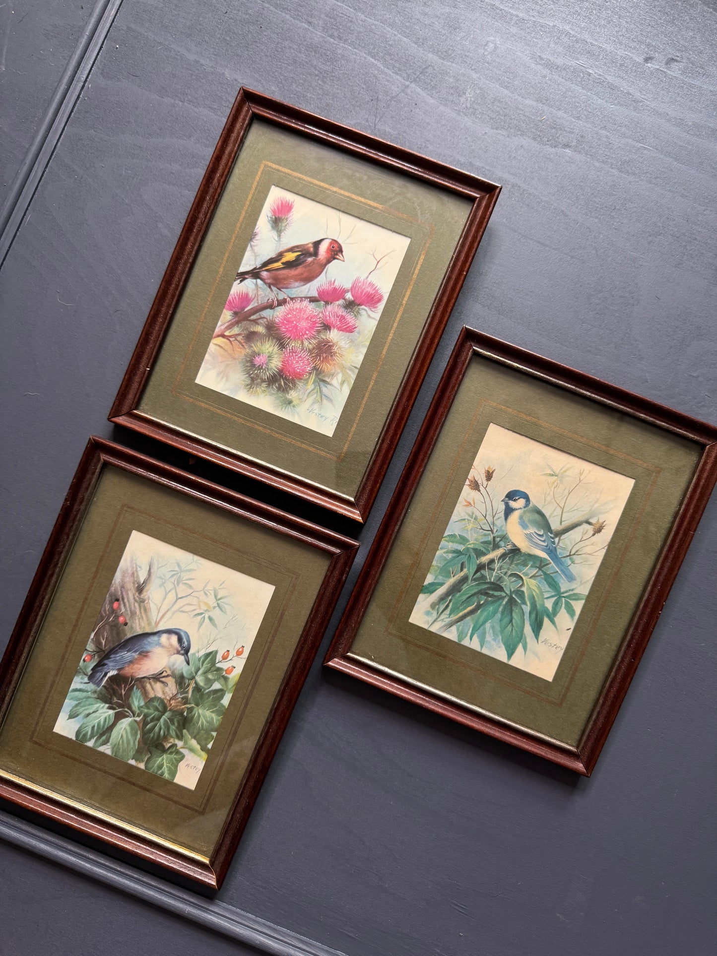 Wild Whimsy – Vintage Animal Gallery Set in Matching Frames