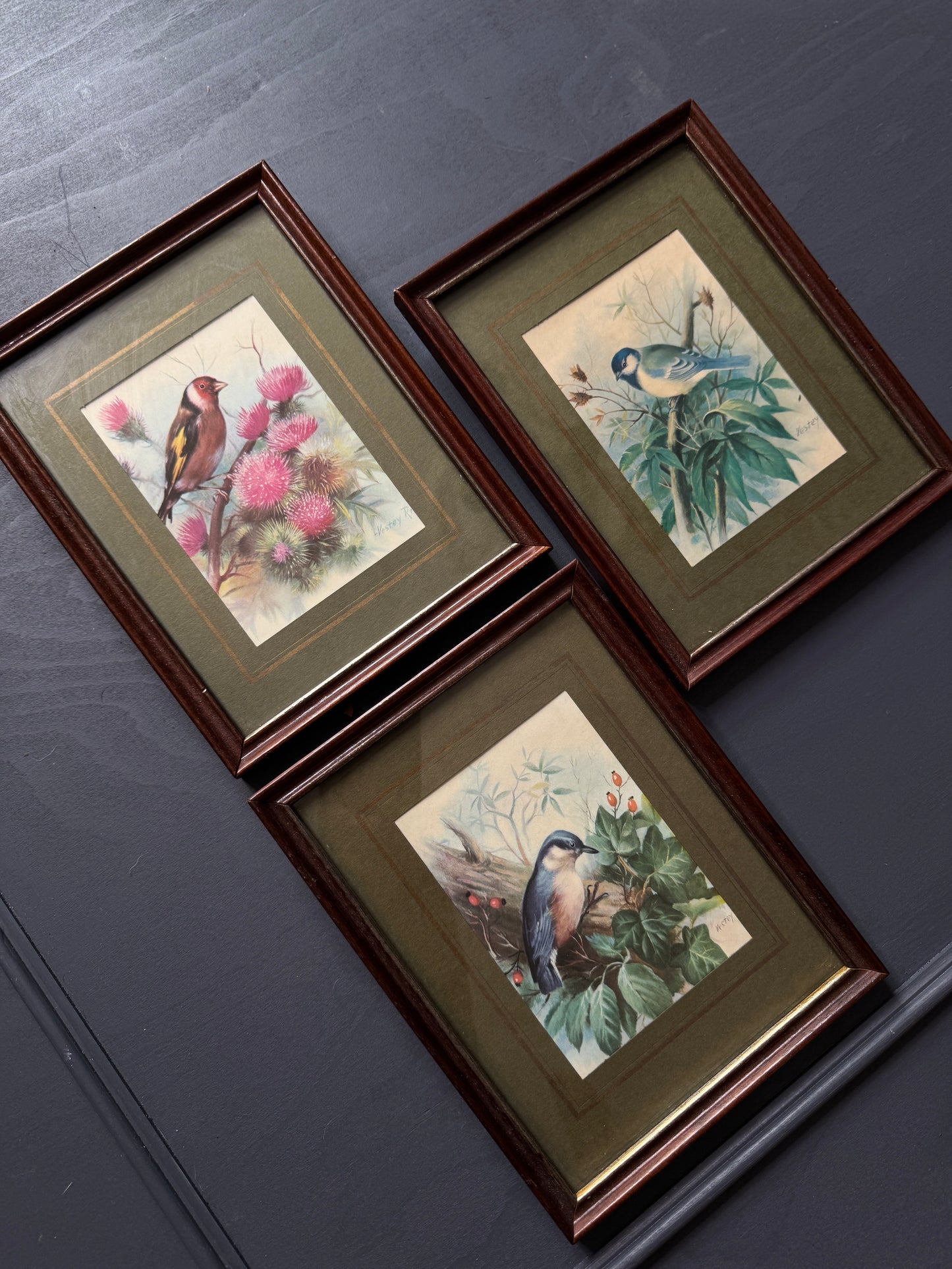 Wild Whimsy – Vintage Animal Gallery Set in Matching Frames
