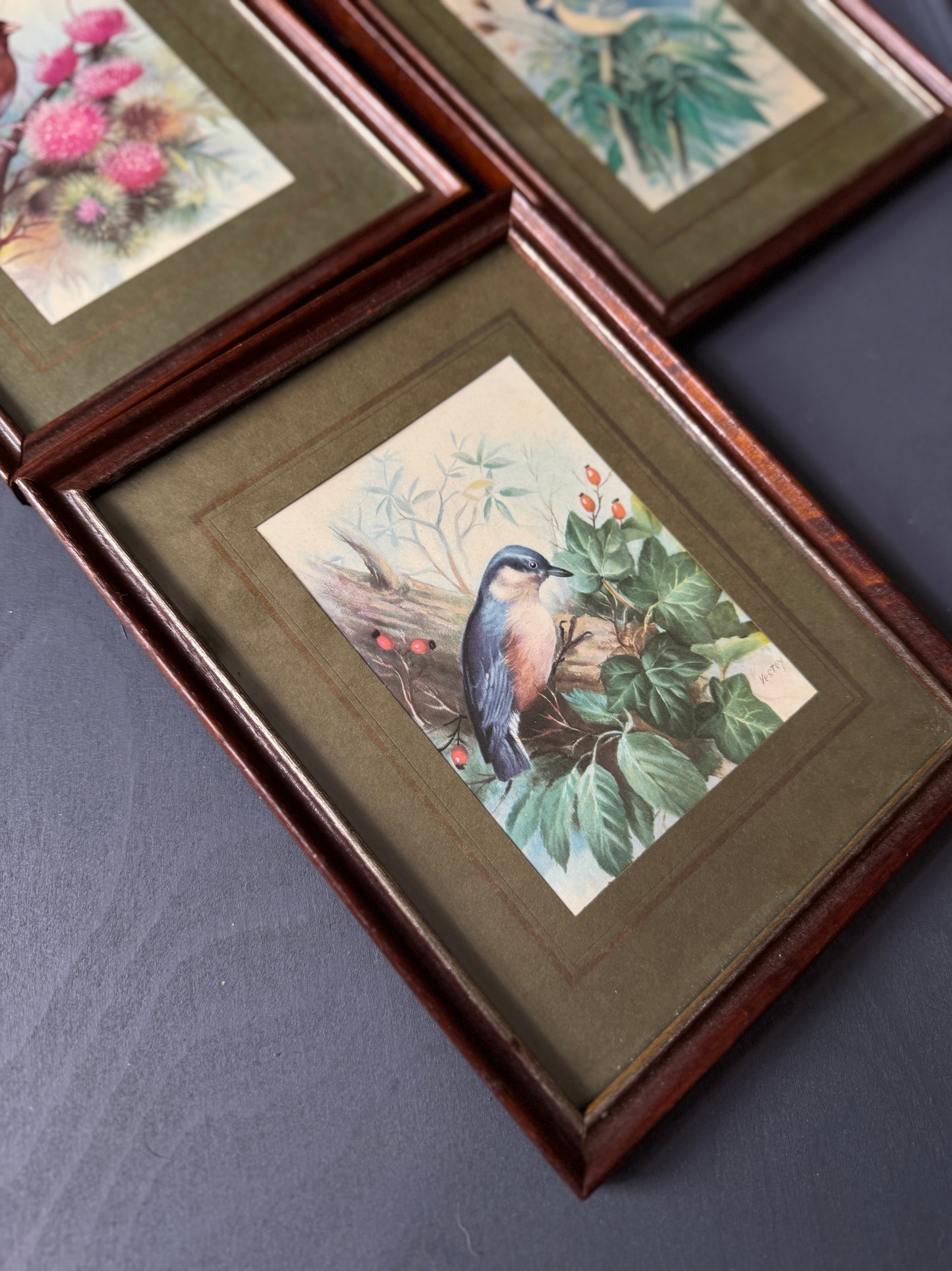 Wild Whimsy – Vintage Animal Gallery Set in Matching Frames