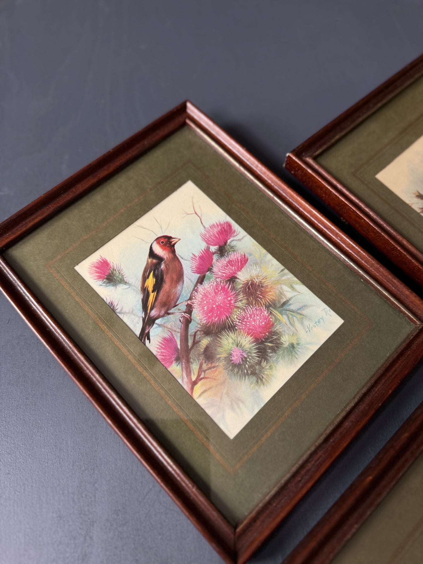 Wild Whimsy – Vintage Animal Gallery Set in Matching Frames