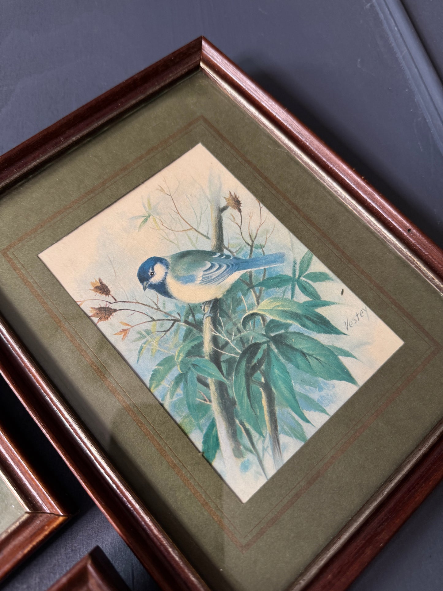 Wild Whimsy – Vintage Animal Gallery Set in Matching Frames