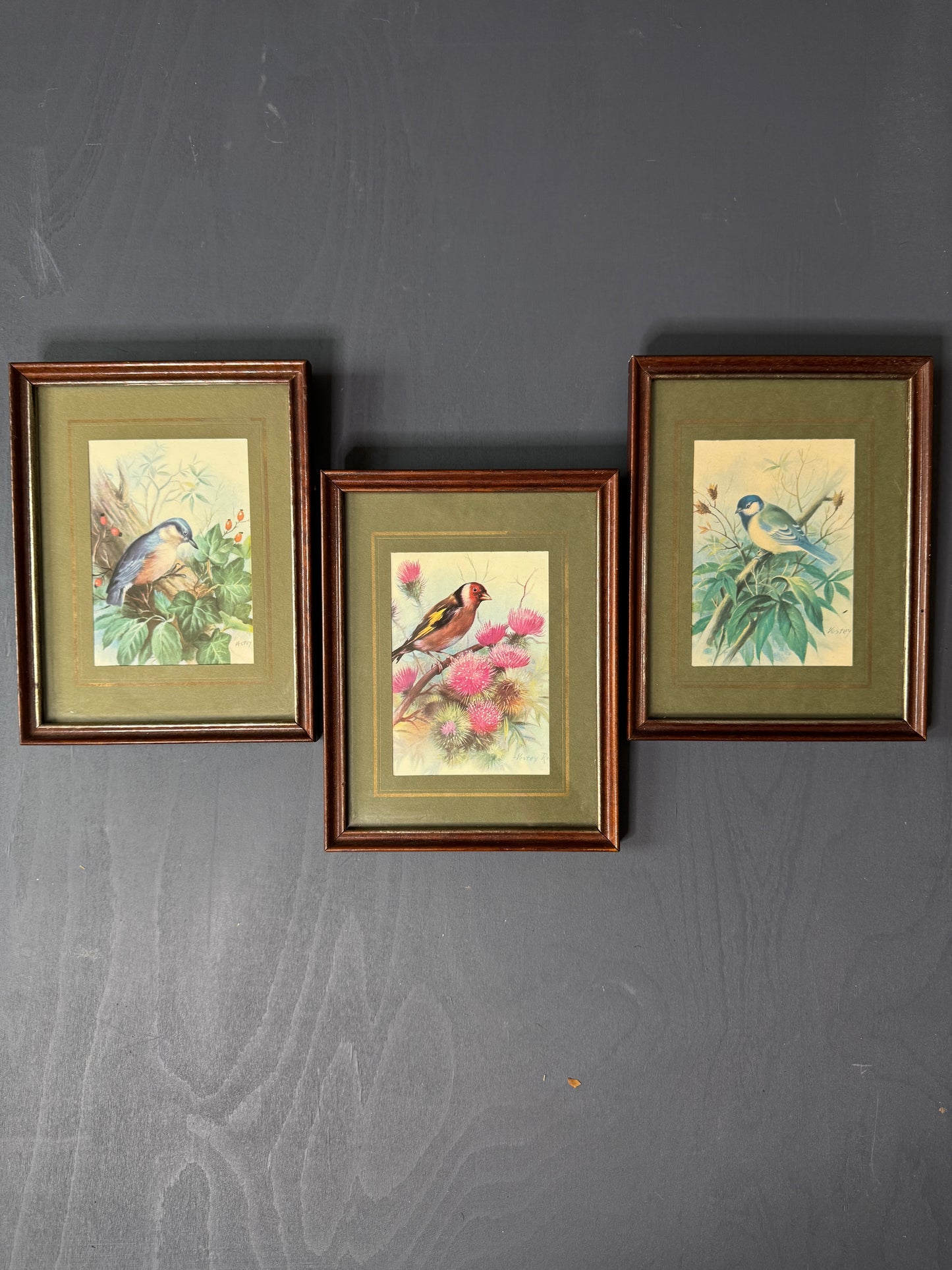 Wild Whimsy – Vintage Animal Gallery Set in Matching Frames