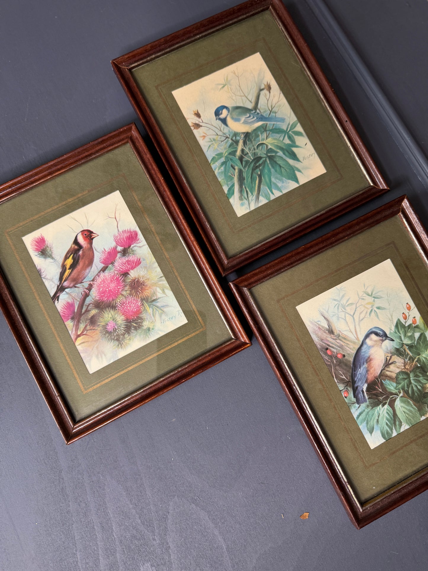 Wild Whimsy – Vintage Animal Gallery Set in Matching Frames