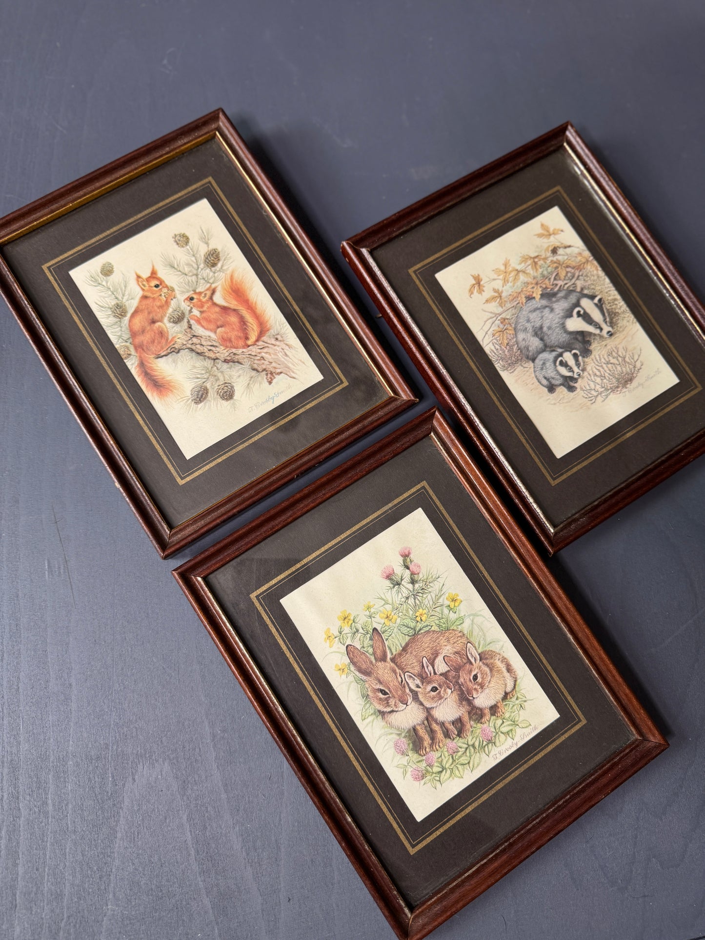 Wild Whimsy – Vintage Animal Gallery Set in Matching Frames