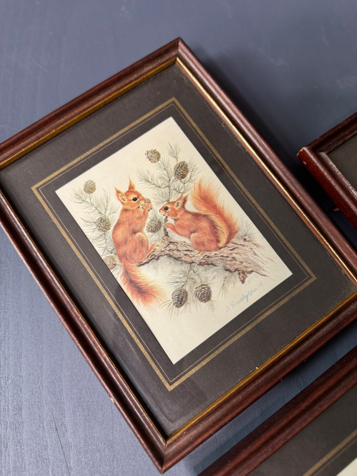 Wild Whimsy – Vintage Animal Gallery Set in Matching Frames