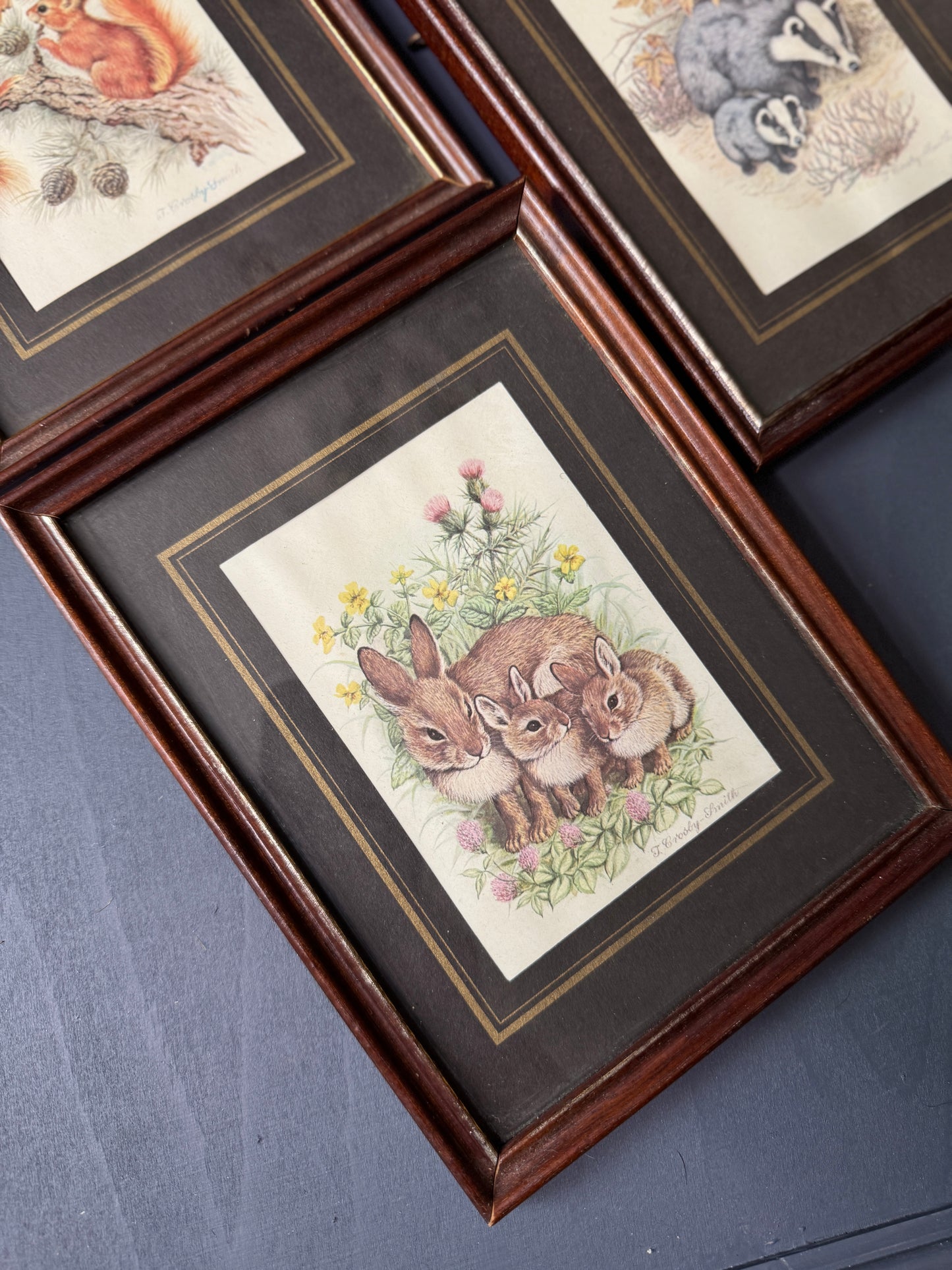 Wild Whimsy – Vintage Animal Gallery Set in Matching Frames