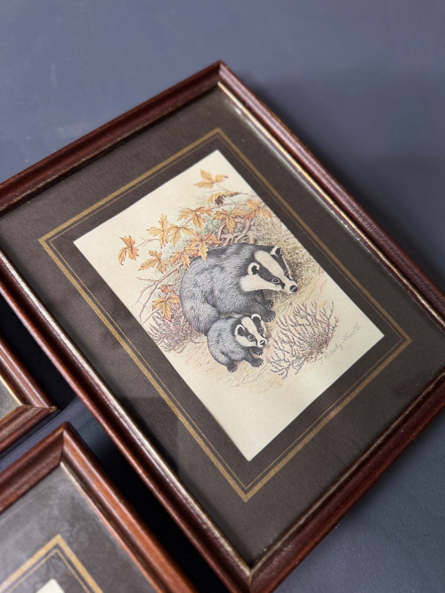 Wild Whimsy – Vintage Animal Gallery Set in Matching Frames