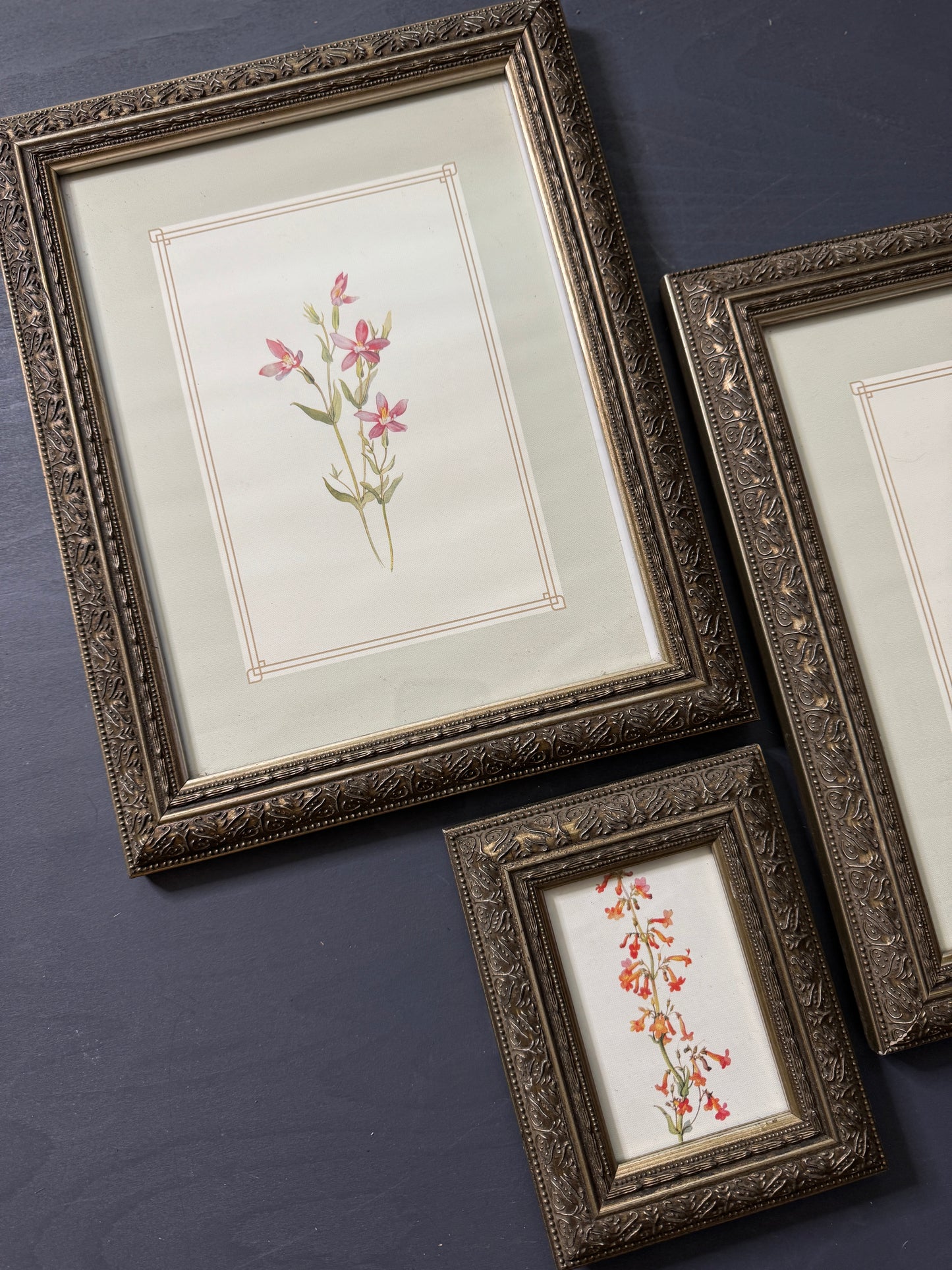 Cottage Blooms – Vintage-Inspired Floral Frame Gallery
