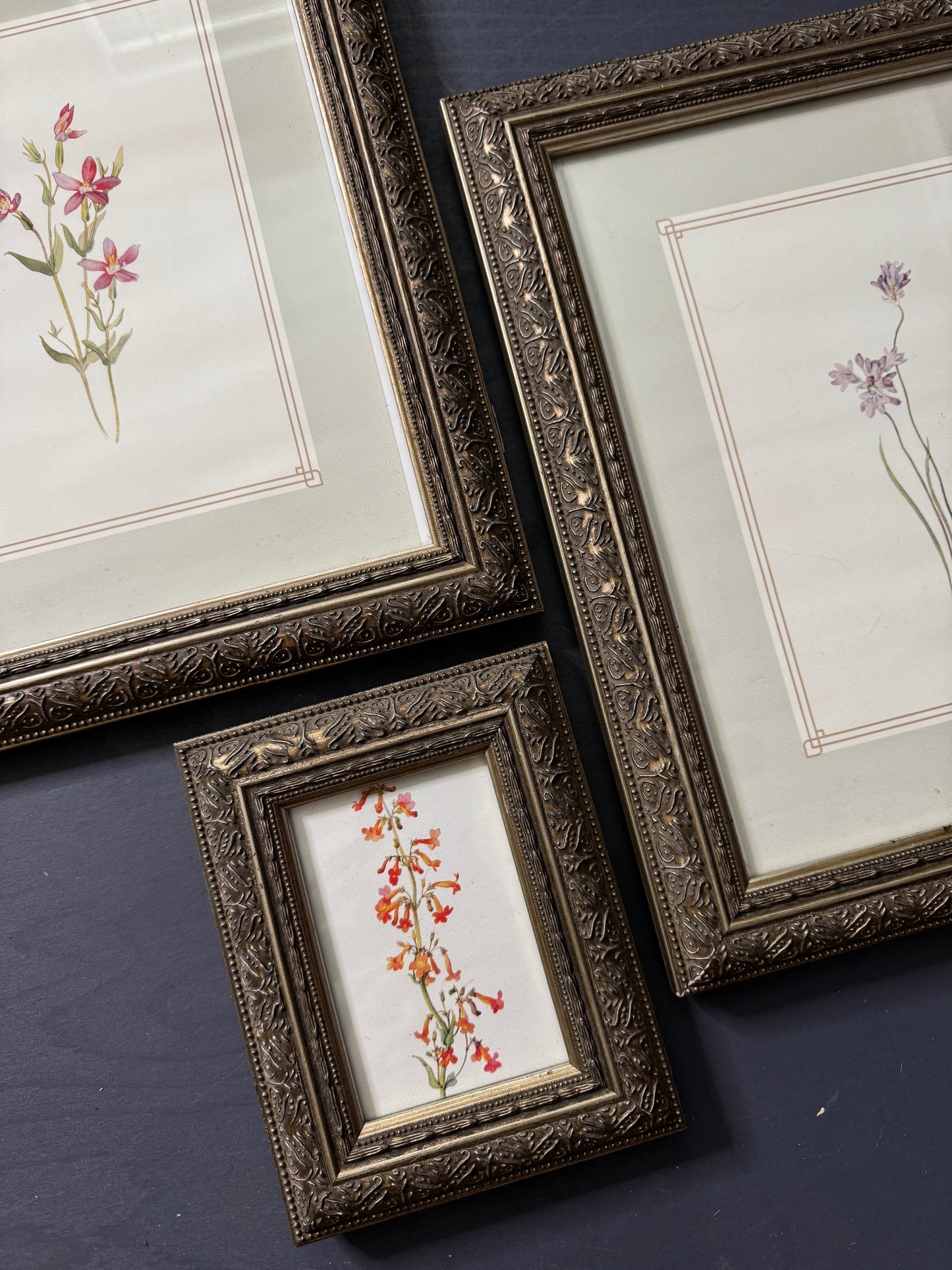 Cottage Blooms – Vintage-Inspired Floral Frame Gallery