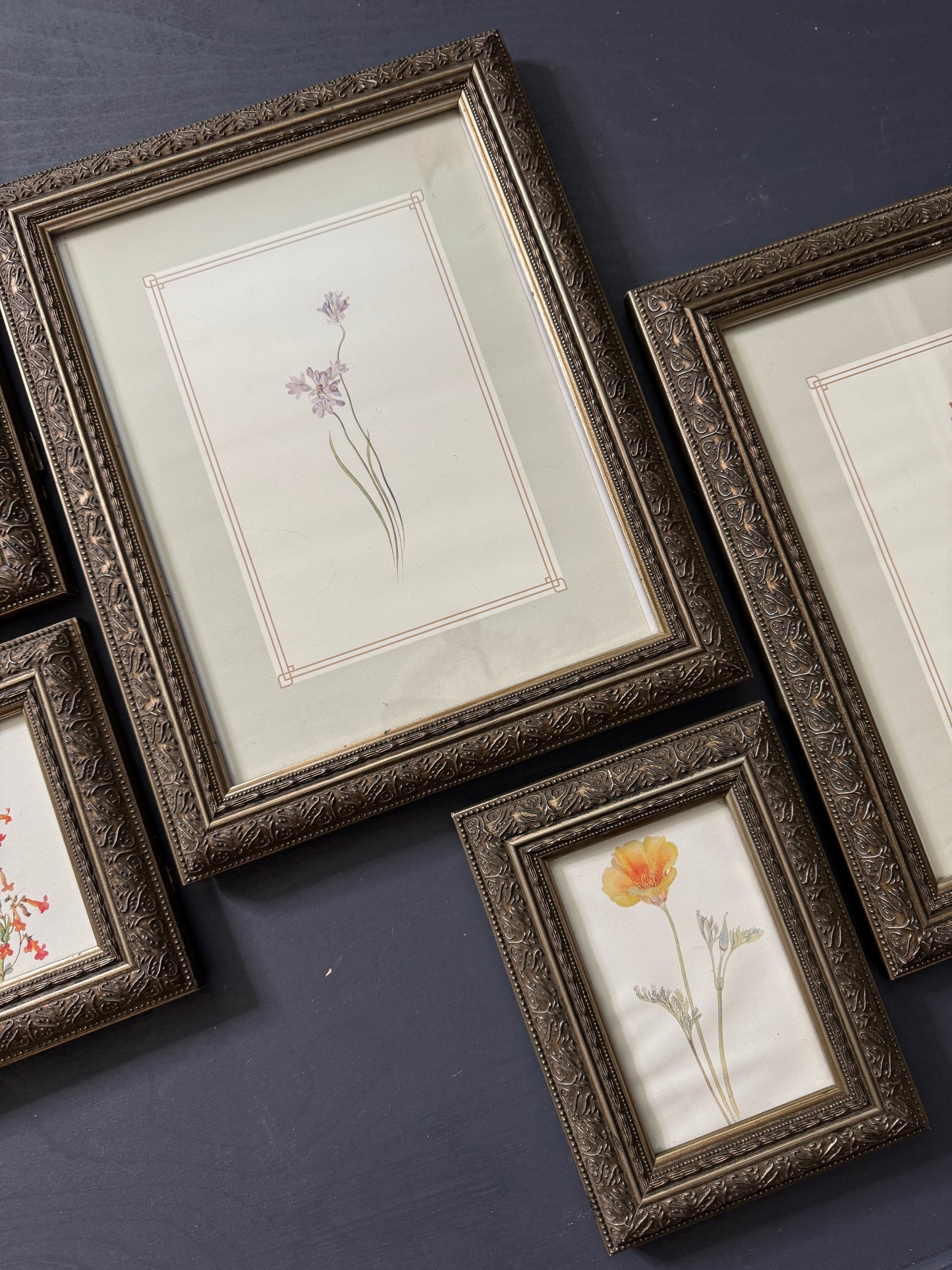 Cottage Blooms – Vintage-Inspired Floral Frame Gallery
