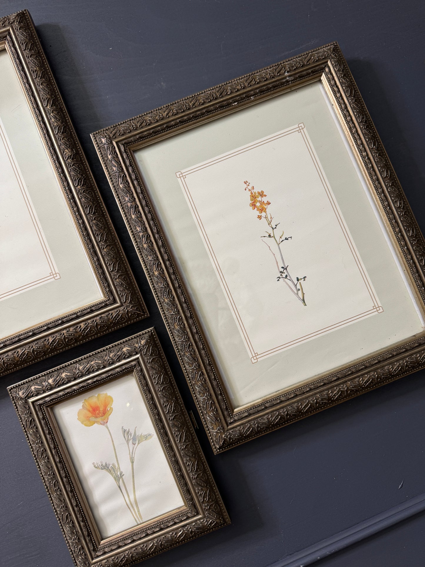 Cottage Blooms – Vintage-Inspired Floral Frame Gallery