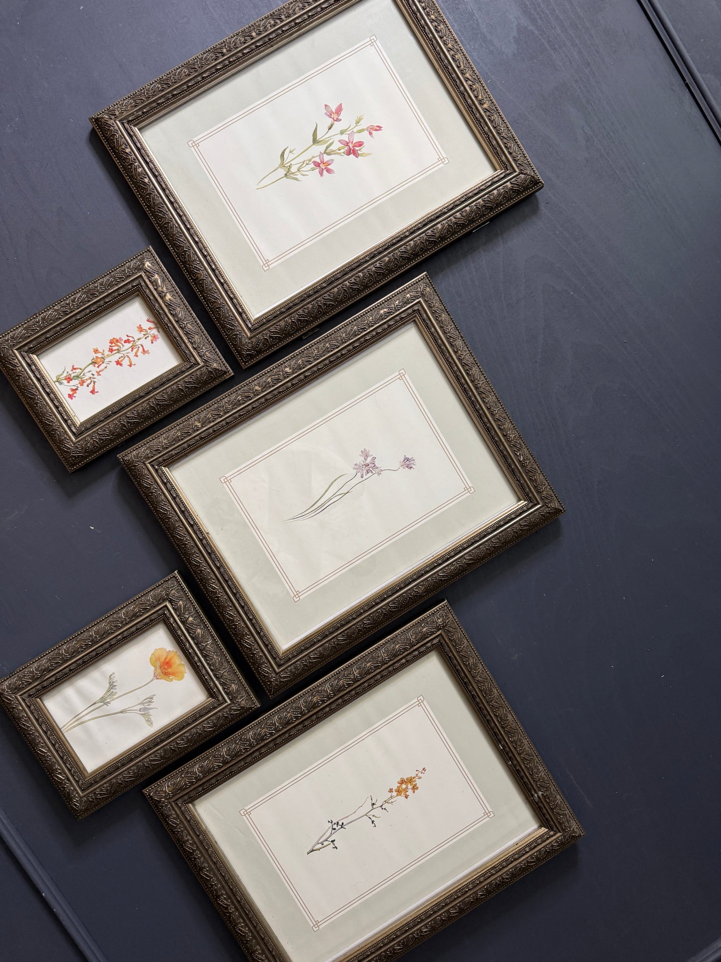 Cottage Blooms – Vintage-Inspired Floral Frame Gallery