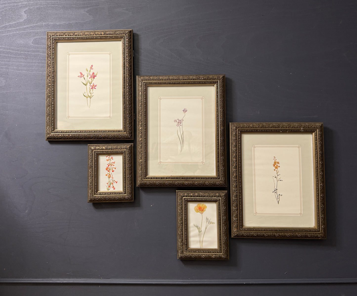 Cottage Blooms – Vintage-Inspired Floral Frame Gallery