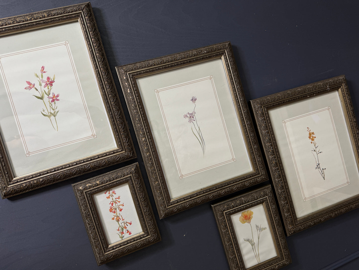 Cottage Blooms – Vintage-Inspired Floral Frame Gallery