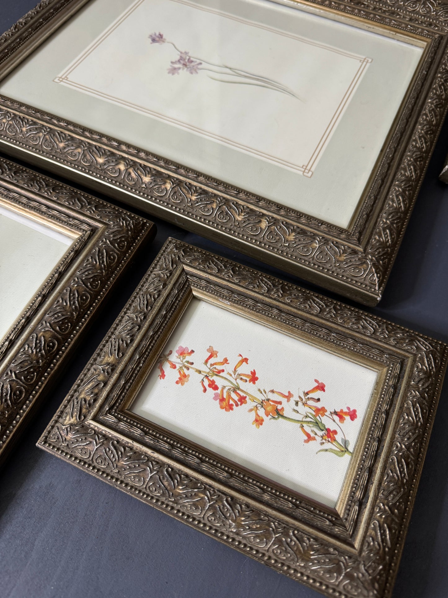 Cottage Blooms – Vintage-Inspired Floral Frame Gallery