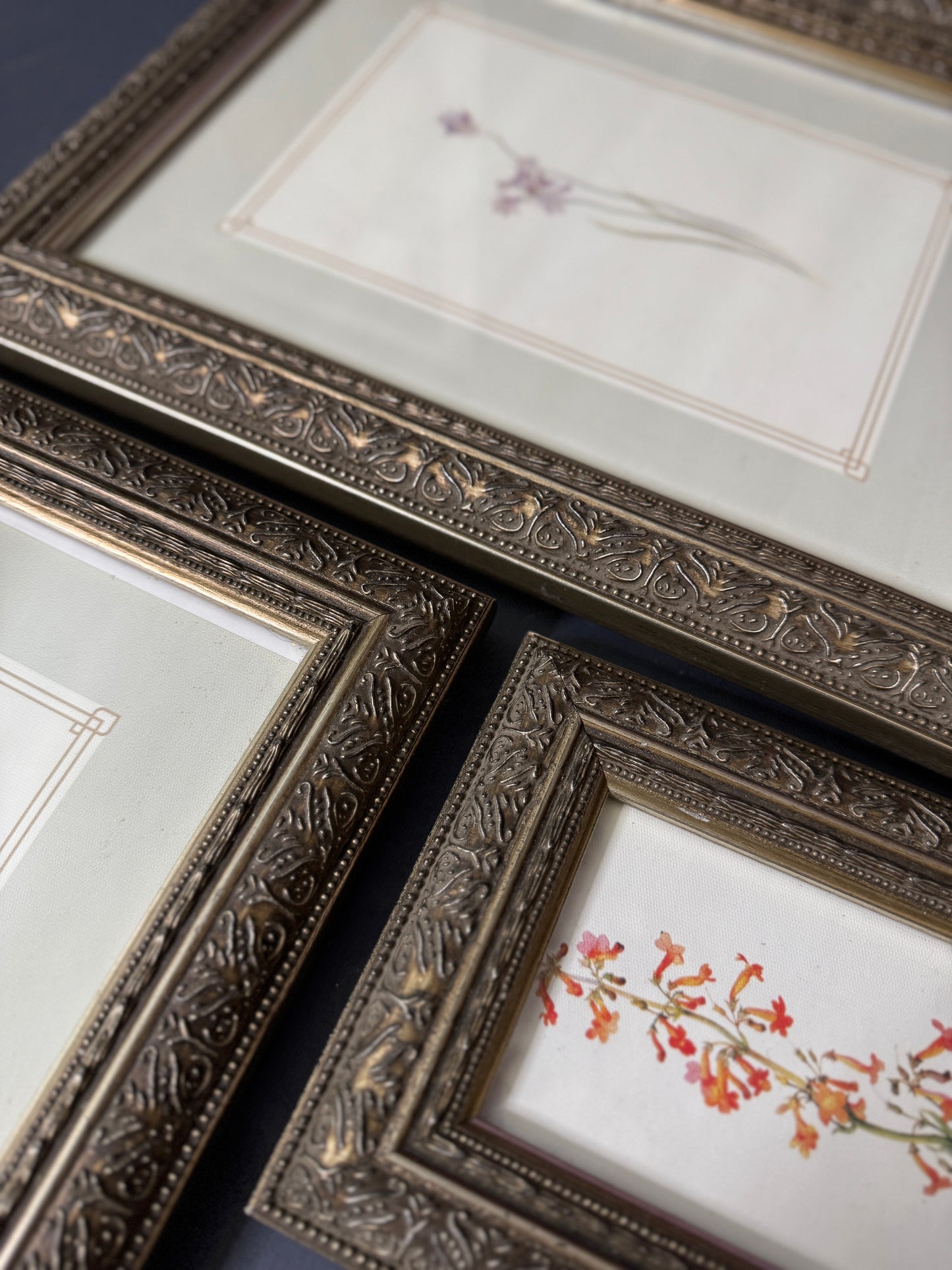Cottage Blooms – Vintage-Inspired Floral Frame Gallery