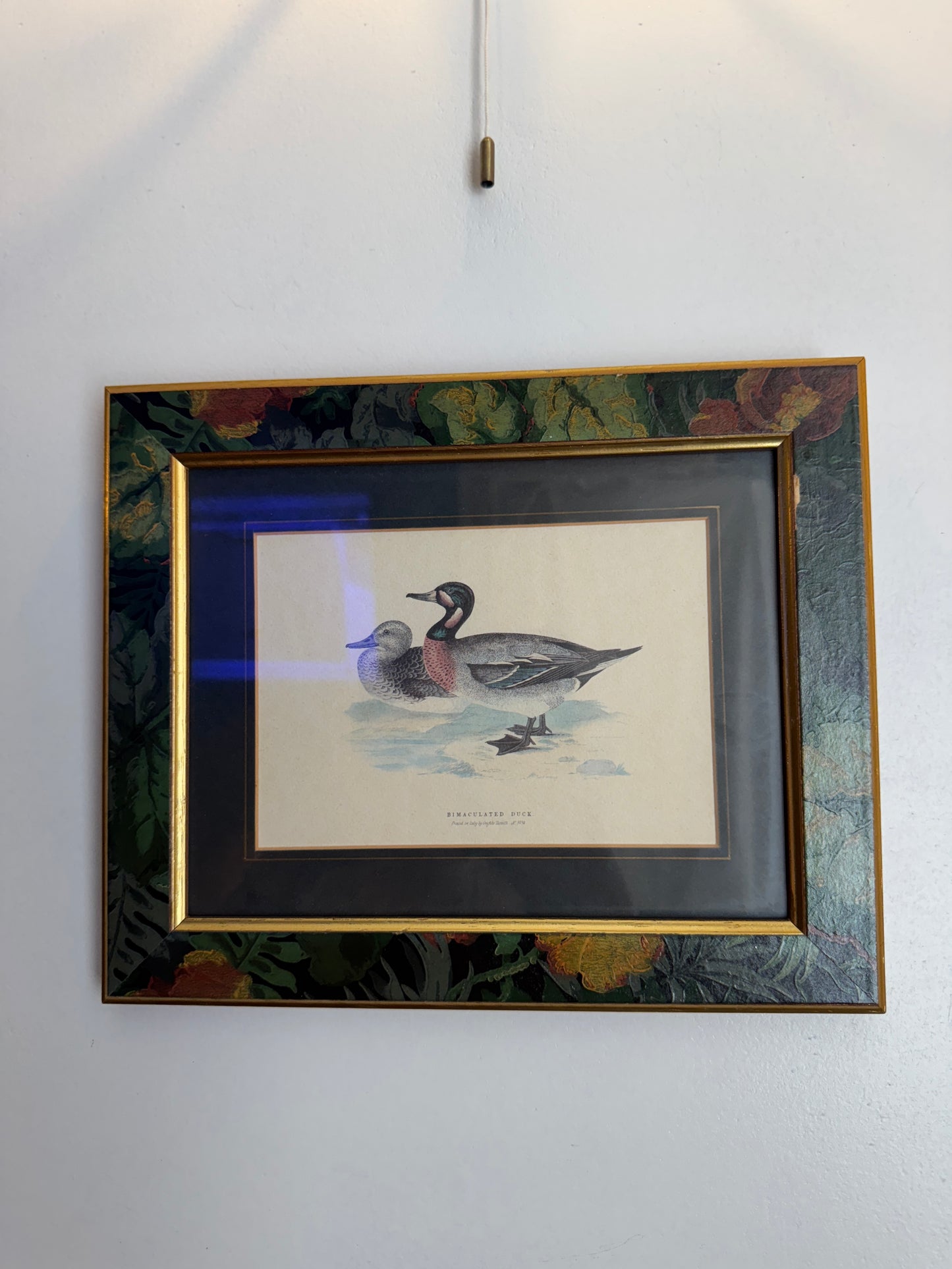 Quaint & Feathered – Rustic Duck Print Duo