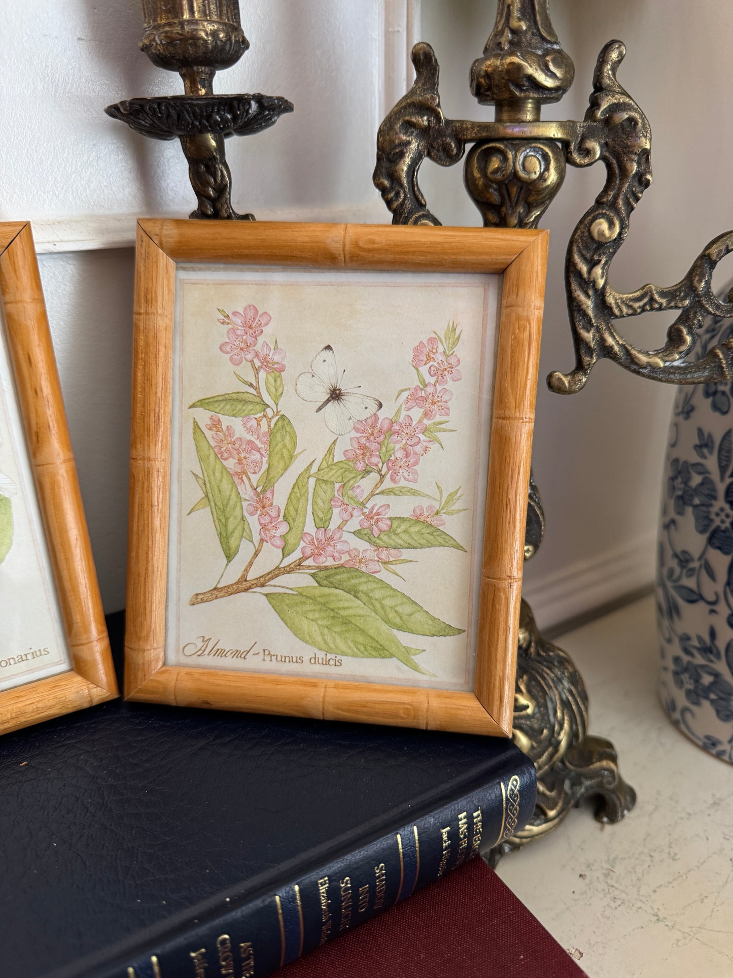 The Bamboo Keepsake Duo Set