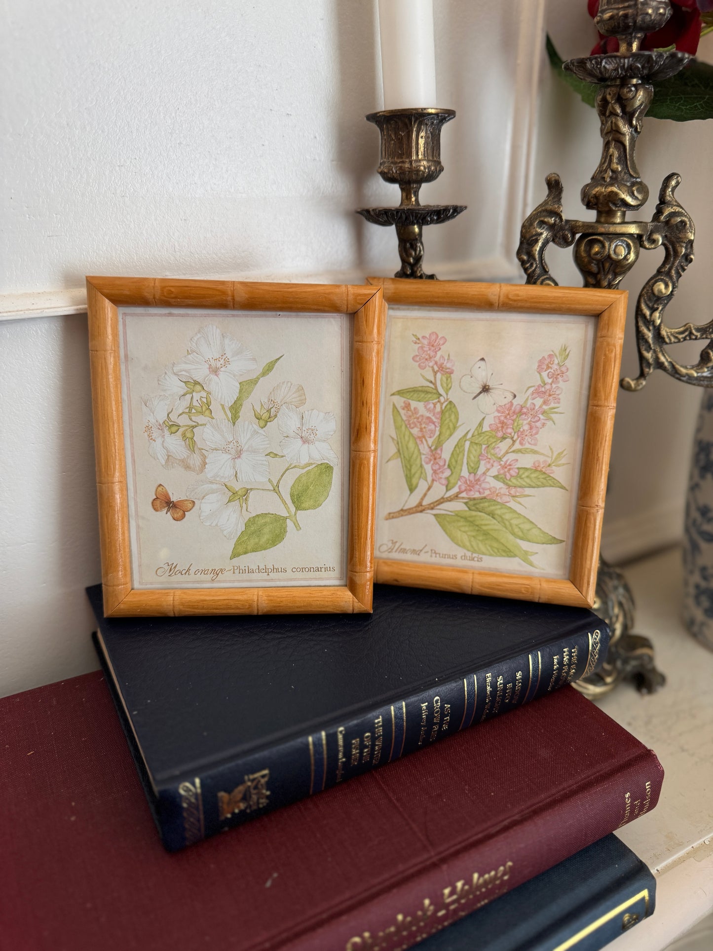 The Bamboo Keepsake Duo Set