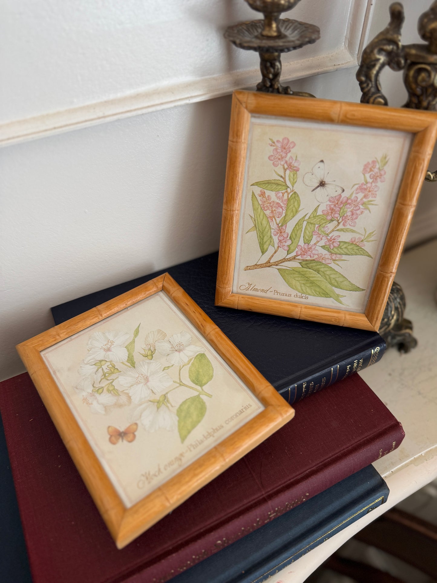 The Bamboo Keepsake Duo Set