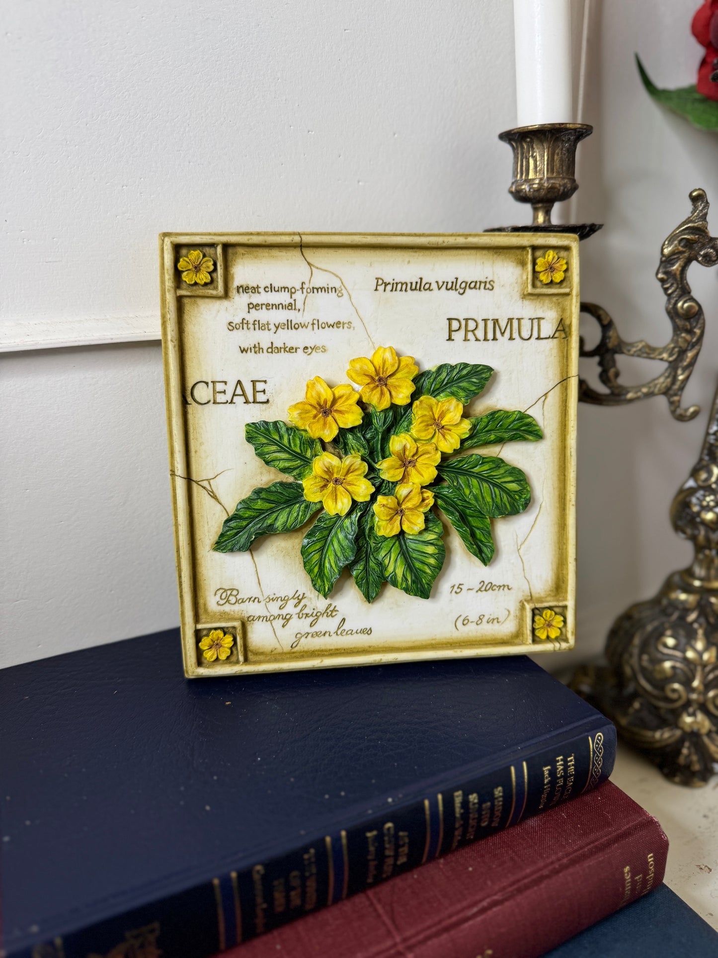 3D Hand-Painted Resin Floral Wall Plaque | Pick Your Favourite Design