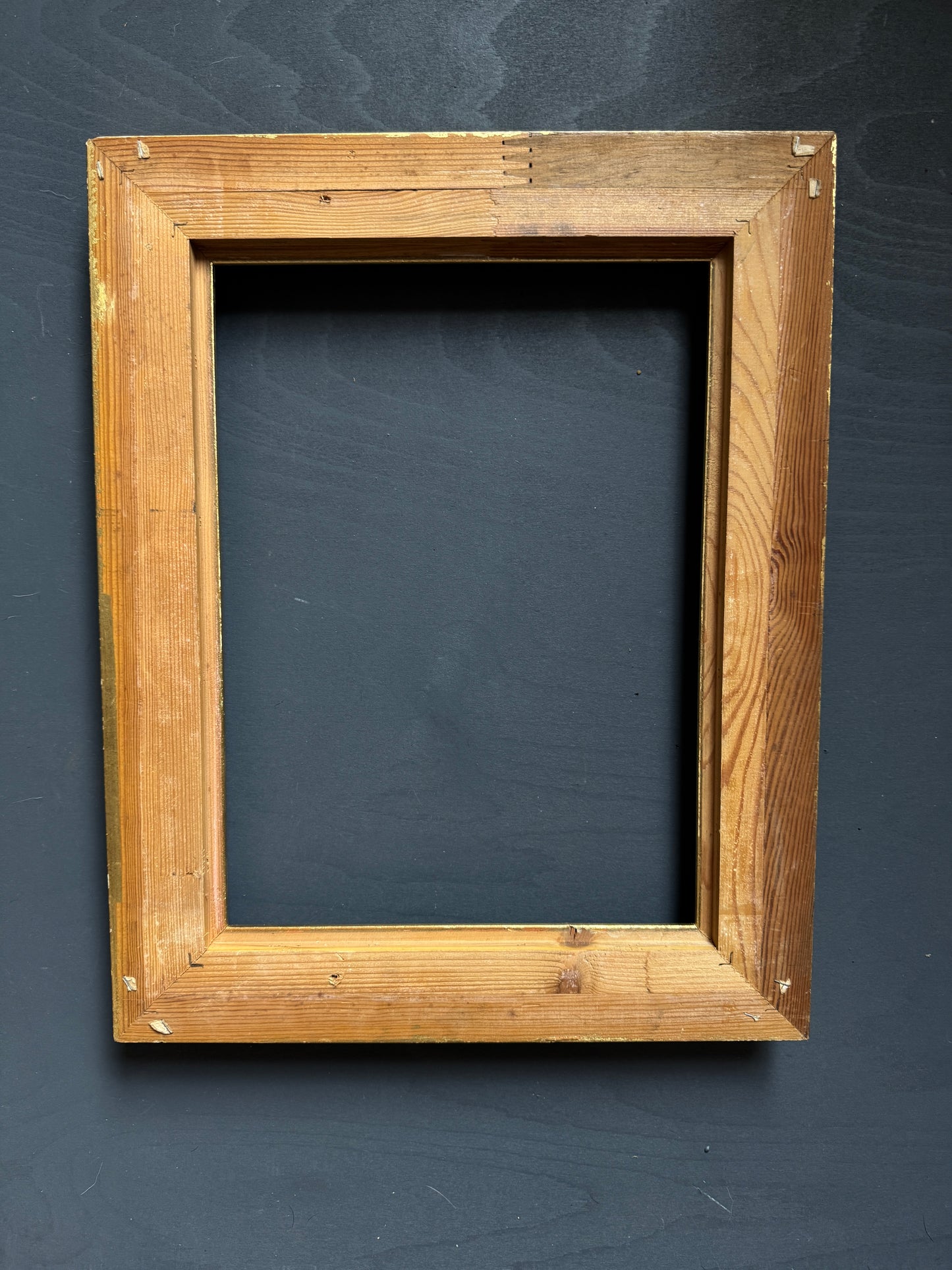Gold Gilt Ornate Frame Mirellan