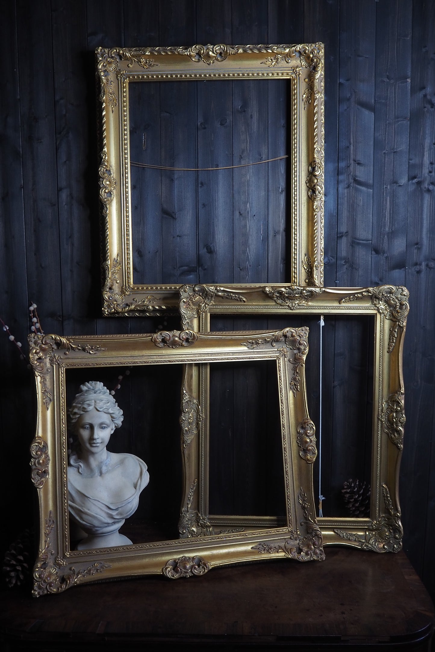 The Czech Royalty - Vintage Gold Chippendale Frame Collection A