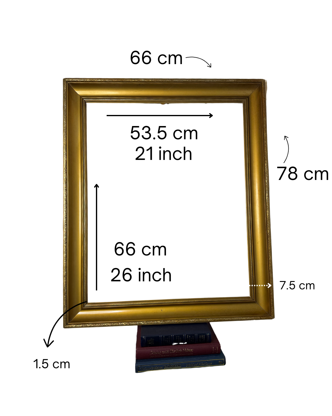 Extra Thick Antique Gold Frame – Large Rome Ornate Frame
