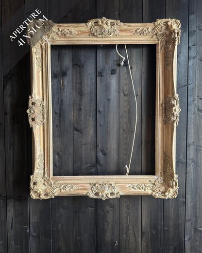 Distressed Ornate Louis Style Frame Collection – Gold & White Finish
