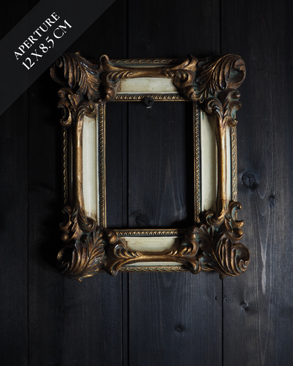 The D'Aubigny – Vintage Heavy Resin Baroque Picture Frames | Ornate Gold ,Black & White