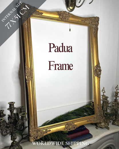 Large Antique Gold Baroque Padua Frame: Ornate Gilt Wall Decor ( 90 x 62 cm)
