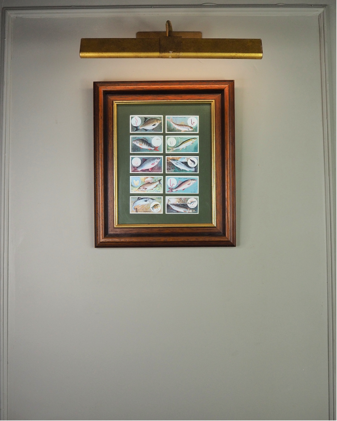 Mounted Collection of Wills Cigarette Cards in Wooden Frame