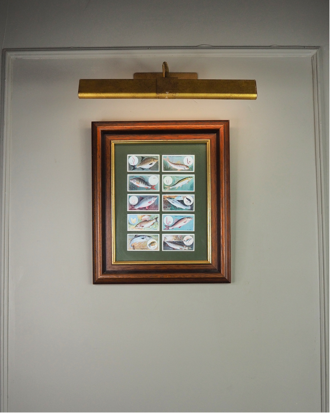 Mounted Collection of Wills Cigarette Cards in Wooden Frame