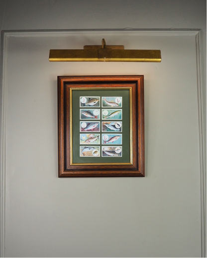 Mounted Collection of Wills Cigarette Cards in Wooden Frame