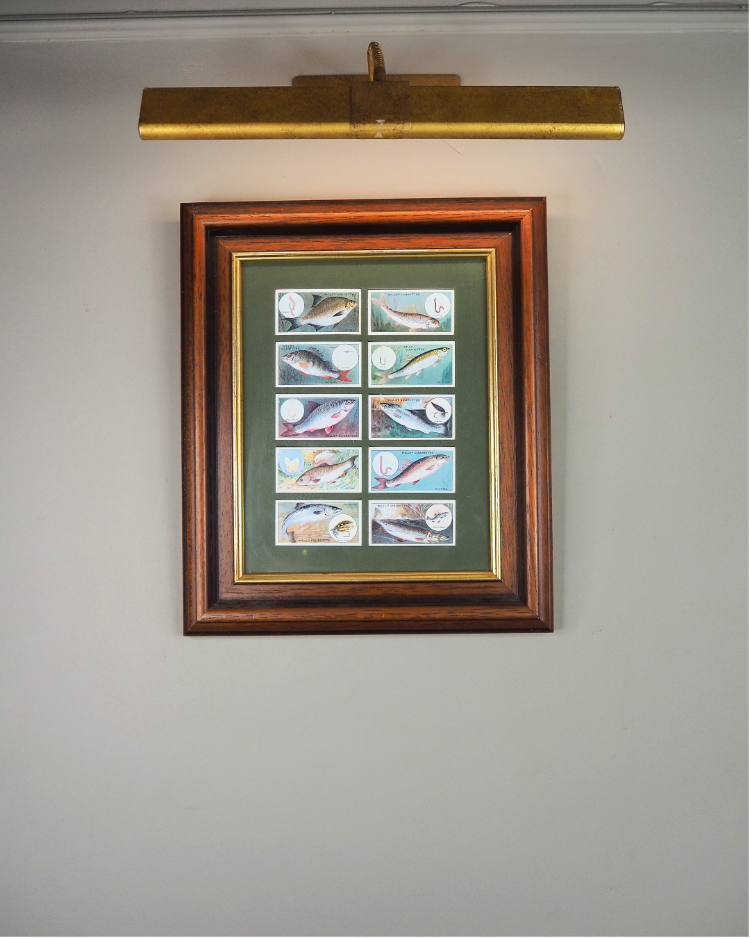 Mounted Collection of Wills Cigarette Cards in Wooden Frame