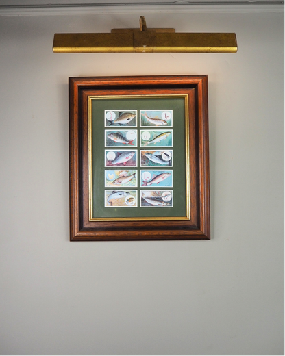 Mounted Collection of Wills Cigarette Cards in Wooden Frame